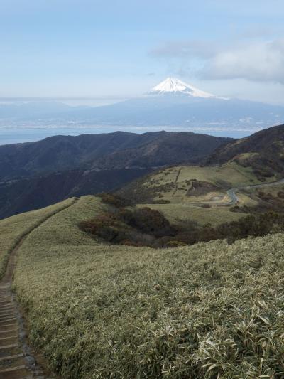 ２０１３年の山はまず達磨山から