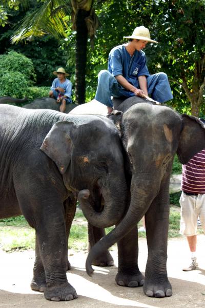 北タイの25寺院＆北タイのグルメ旅 in チェンマイ★2011　08　5日目【CNX⇒ランパーン】　