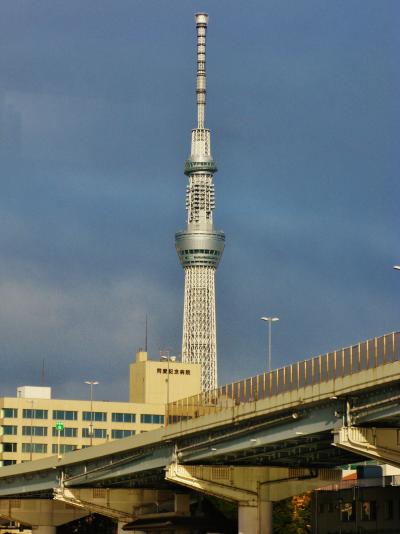 浅草60分-4　隅田川クルーズ　水上バスで清洲橋折り返し　☆橋梁群は個性豊かに