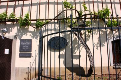 中欧(05) スロベニア第2の都市、マリボル ~2012年GW~