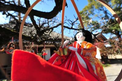 城下町中津のひなまつり