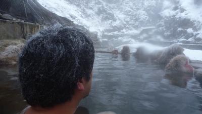 ２０１３年２月おさるの温泉・長野の地獄谷温泉、ふた旅。