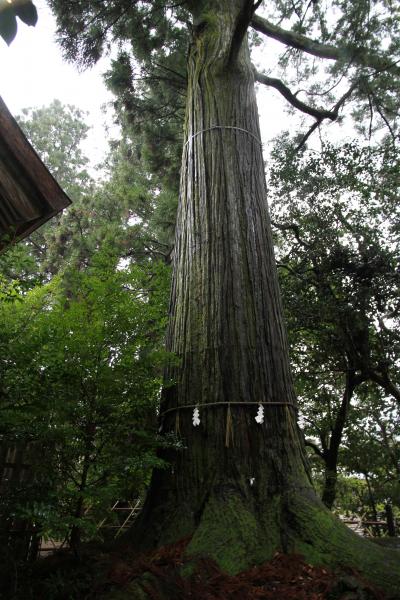 2012年仕事納め　鳥取・島根ロケハン9　島根県　出雲市 日御碕神社～日御碕灯台～話題のパワースポット・須佐神社～帰京