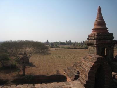 世界にはこんな場所があるんだ！！～バガン編～