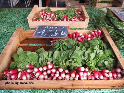 冬なお青い海のコートダジュール 11 ニース街歩き