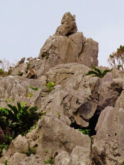 沖縄16　大石林山　唯一の亜熱帯カルスト地形　☆琉球最古最大の聖地