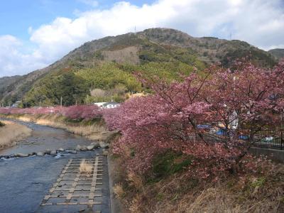 春を迎えた伊豆へ…～①河津町～