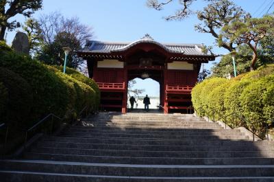 チャリで巡る東京墓マイラー　　護国寺で眠る偉人たち