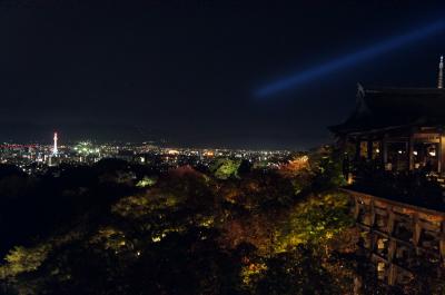 京都＆吉野　ぶらり紅葉の旅