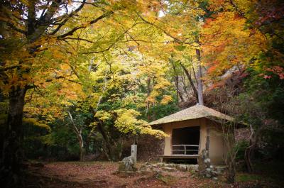 京都＆吉野　ぶらり紅葉の旅　吉野編