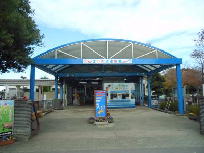 さいたま水族館見学 [2012](1)