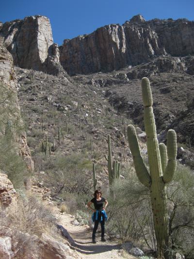 Sabino Canyonの絶景ハイキング！