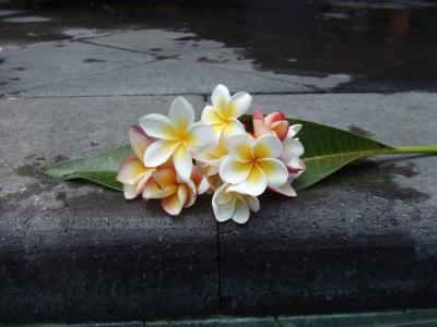 ３度目のバリ☆～移動日編～