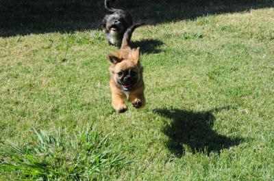 2011夏-1 アメリカの旅（カリフォルニア州サクラメント）