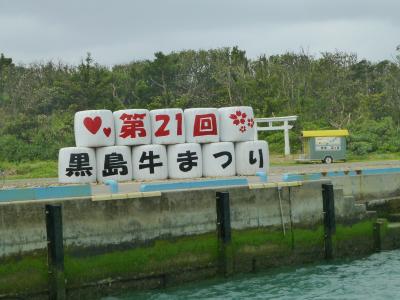 欲張りmamarin沖縄のたび③牛祭りの前泊で黒島へ