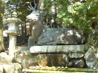 2013年　奈良寺社めぐり　３