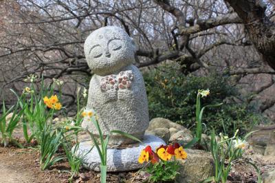 綾部山の梅林と室津の大粒のカキ