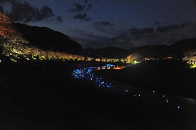 みなみの桜と菜の花まつり・リベンジ～②夜桜☆流れ星～