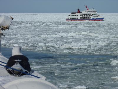 極寒の北海道で流氷と氷爆まつりを巡る旅