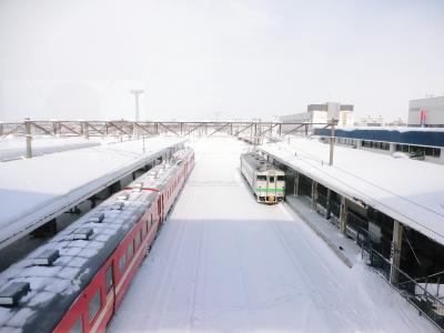 &#39;12恒例冬の北海道旅行④～「４日目は，富良野から札幌に移動でしたが，これが大変で・・」