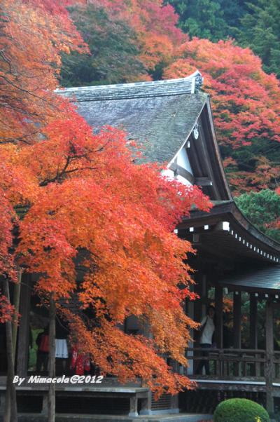 福岡絶景の紅葉