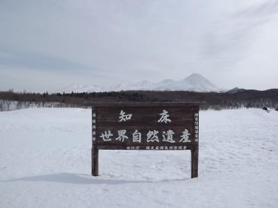 2013年3月　北海道　流氷の旅　４／５