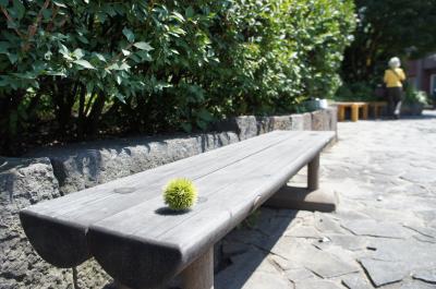 戸隠・長野　寺社と栗の旅　長野・小布施編