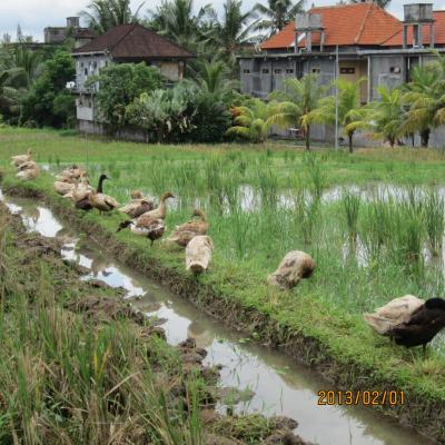 還暦女一人旅その2