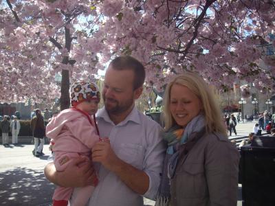 もう一度観たいストックホルムの桜