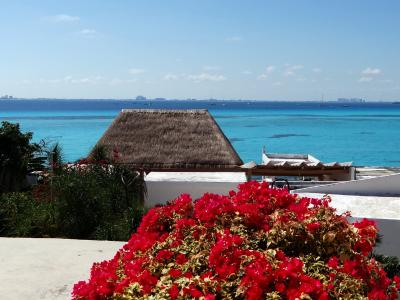 2013メキシコ旅行 (2)　イスラ・ムヘーレスの青い海を愛でる
