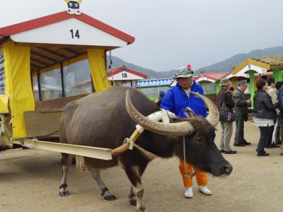 みんなで行けば恐くない　JAレディースの旅　沖縄・竹島・西表島編