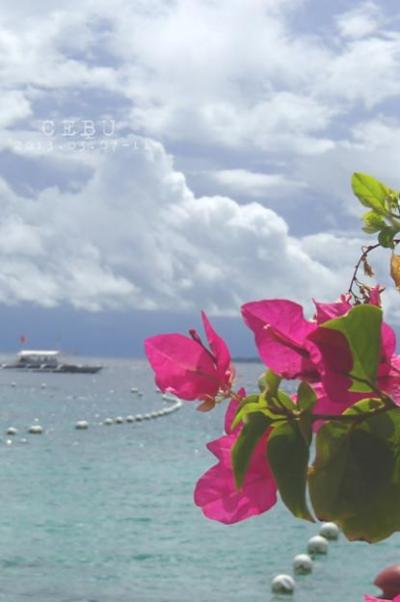 海外初心者のセブ島旅行記【後編】