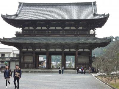 京の冬の旅　非公開文化財特別公開　仁和寺 金堂・五重塔〈旧御室御所〉