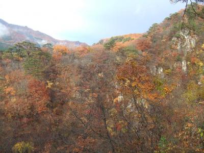 2007 新潟、奥の細道ライン、紅葉と湯けむり紀行【その３】鳴子温泉と鳴子峡