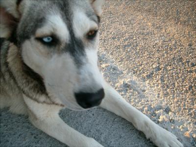 アラサー女一人旅「サントリーニ島９泊１１日の旅」その２