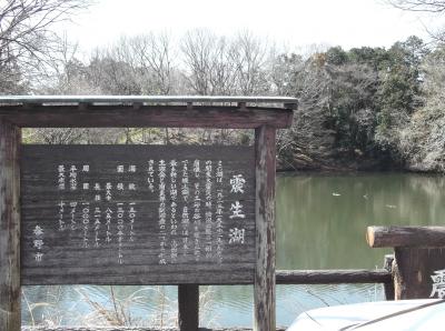 震生湖と渋沢丘陵を歩く