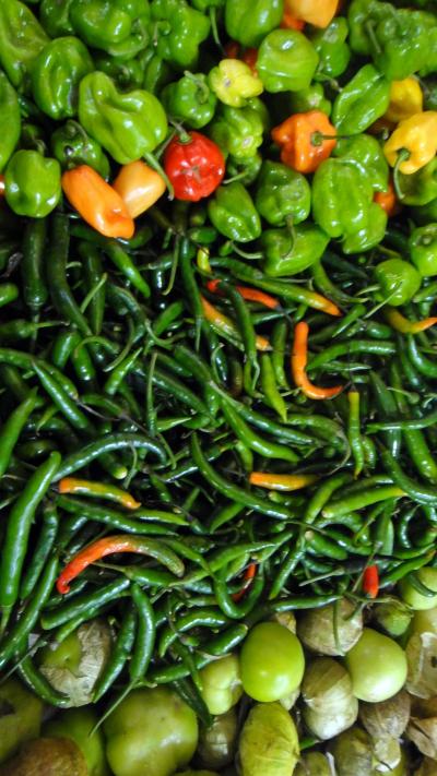 2013メキシコ旅行 (11)　ベラクルスの夜のソカロは、町のシニアの社交場、ダンソーン