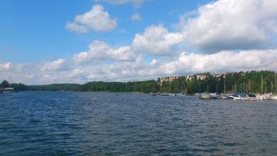 澄んだ空気の森にやられてみた