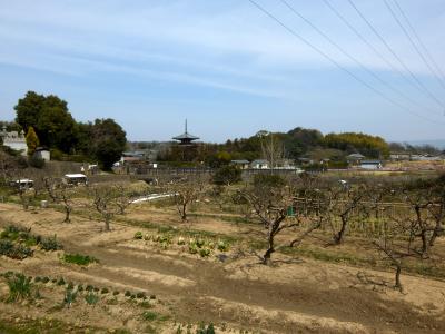 輪行風土記～その参　春の古都 平城の都・奈良大和路 歩くような自転車旅