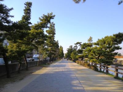 ＜五街道ウォーク･日光街道編.４＞東京脱出！　手焼きせんべいと松並木続く「草加宿」