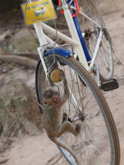 続・アンコール遺跡群_vol.4_観光最終日、自転車でGO!