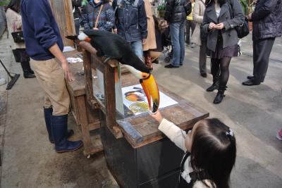 さきぞう　神戸花鳥園に連れて行ってもらう