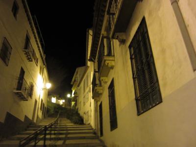 2013年2月　いよいよハネムーン　情熱の国スペインへ！Part12（グラナダの街を散策。もっと見たかった・・・）