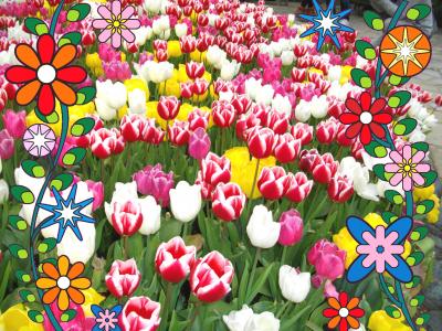 長崎訪問記 {長崎は今日も雨だった編}