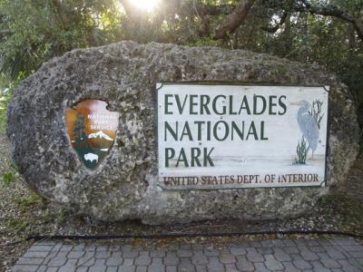 フロリダ旅行♪2日目♪エバーグレーズ国立公園