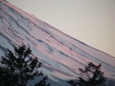 ♬坂東観音霊場巡礼inホテル♬