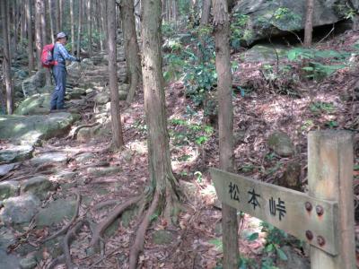 尾鷲と熊野古道の旅