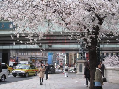 日本橋を彩る満開の桜