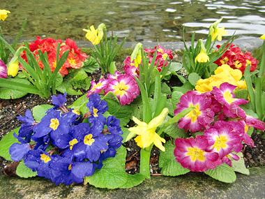 早春のバンクーバー旅行 2日目 その1