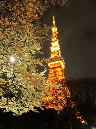 2013年3月　東京タワー近辺